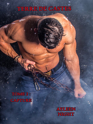 cover image of Terre de Castes tome 2